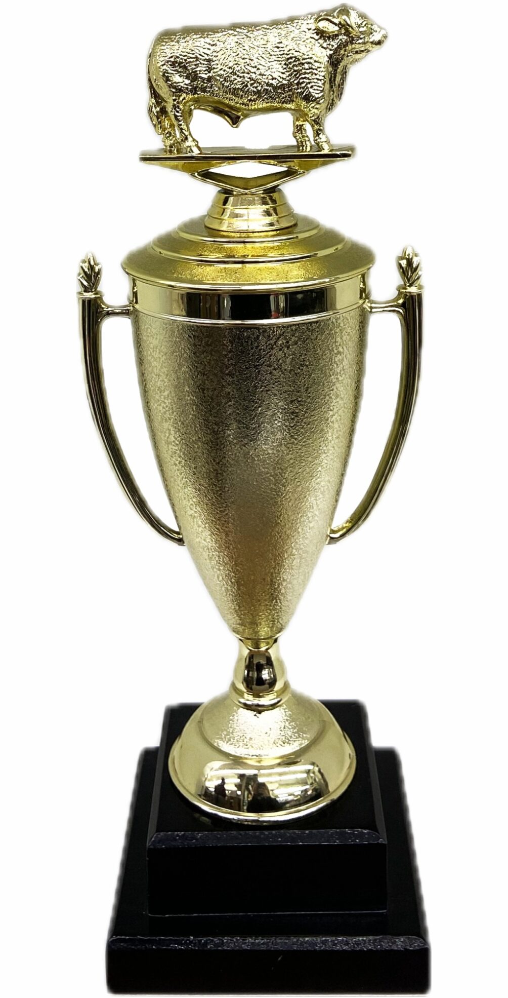 Hereford Bull Trophy 355mm