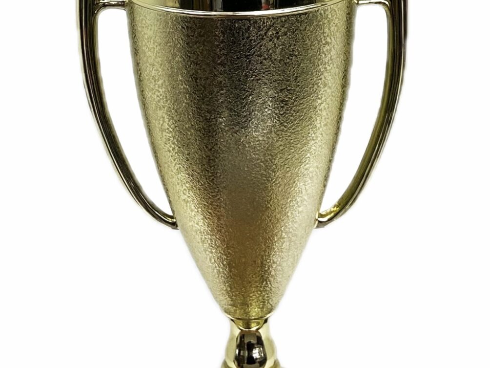 Hereford Bull Trophy 355mm