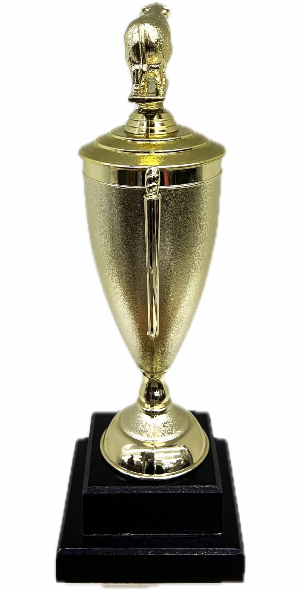 Hereford Bull Trophy 355mm
