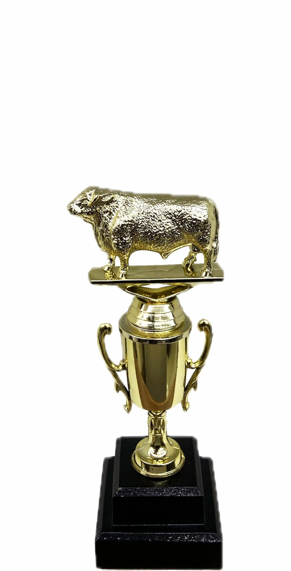 Hereford Bull Trophy 215mm