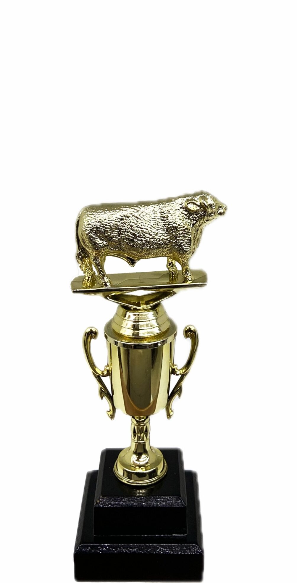 Hereford Bull Trophy 215mm