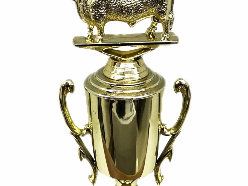 Hereford Bull Trophy 240mm