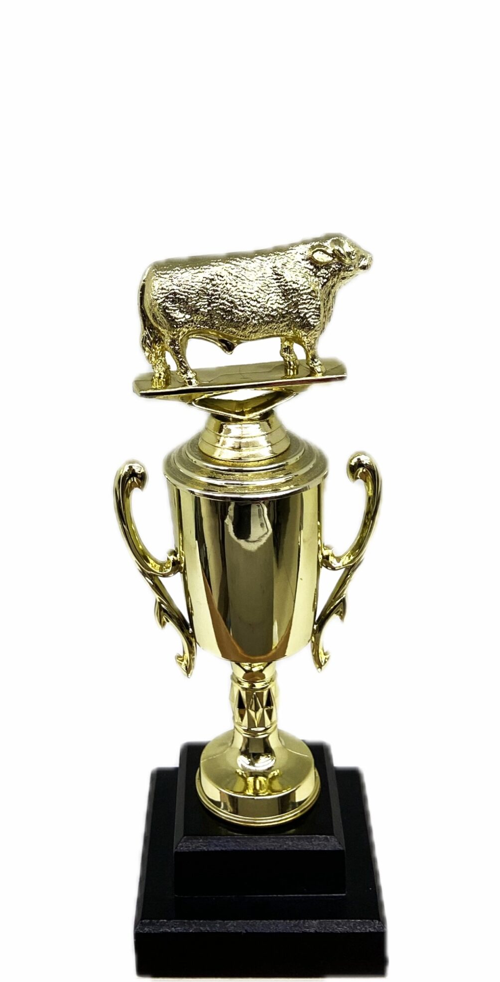 Hereford Bull Trophy 240mm