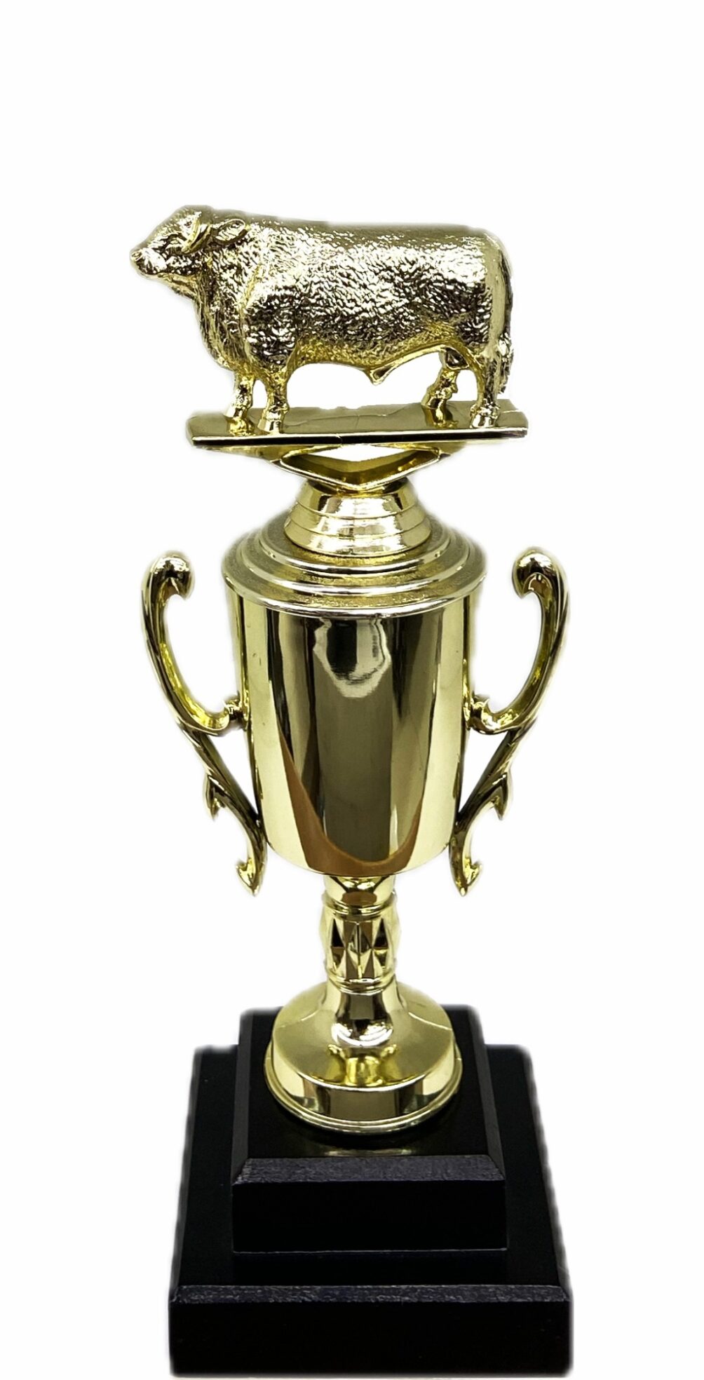 Hereford Bull Trophy 275mm