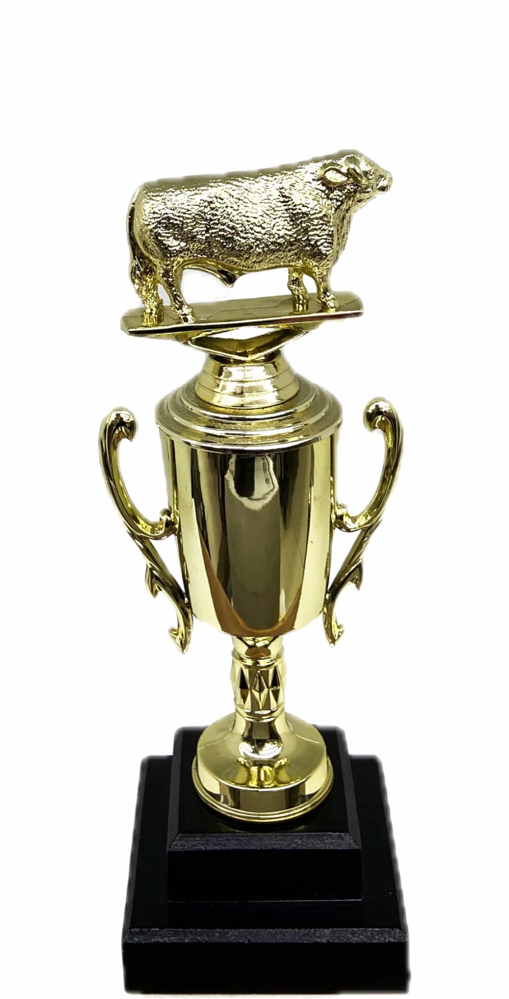 Hereford Bull Trophy 275mm