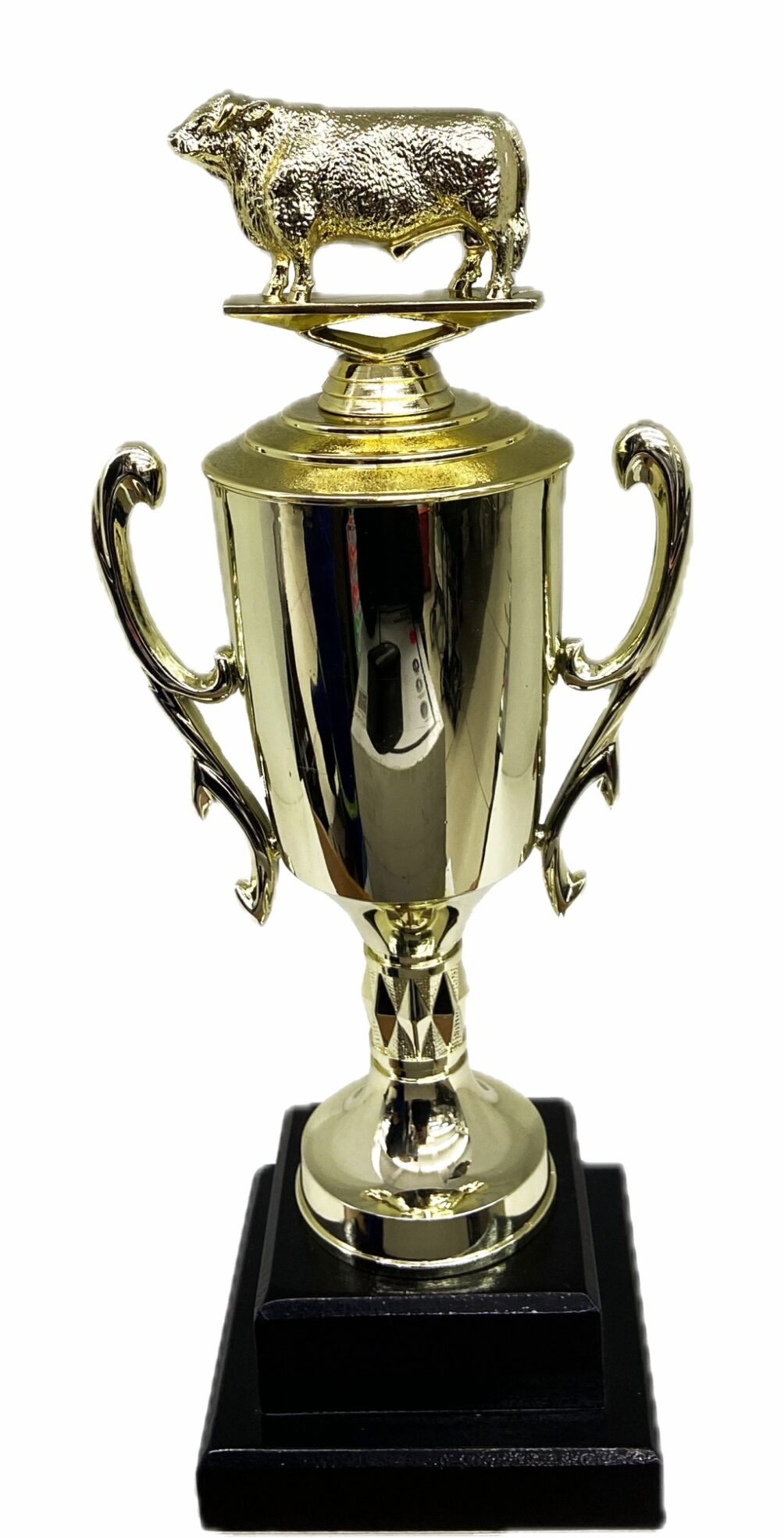 Hereford Bull Trophy 315mm