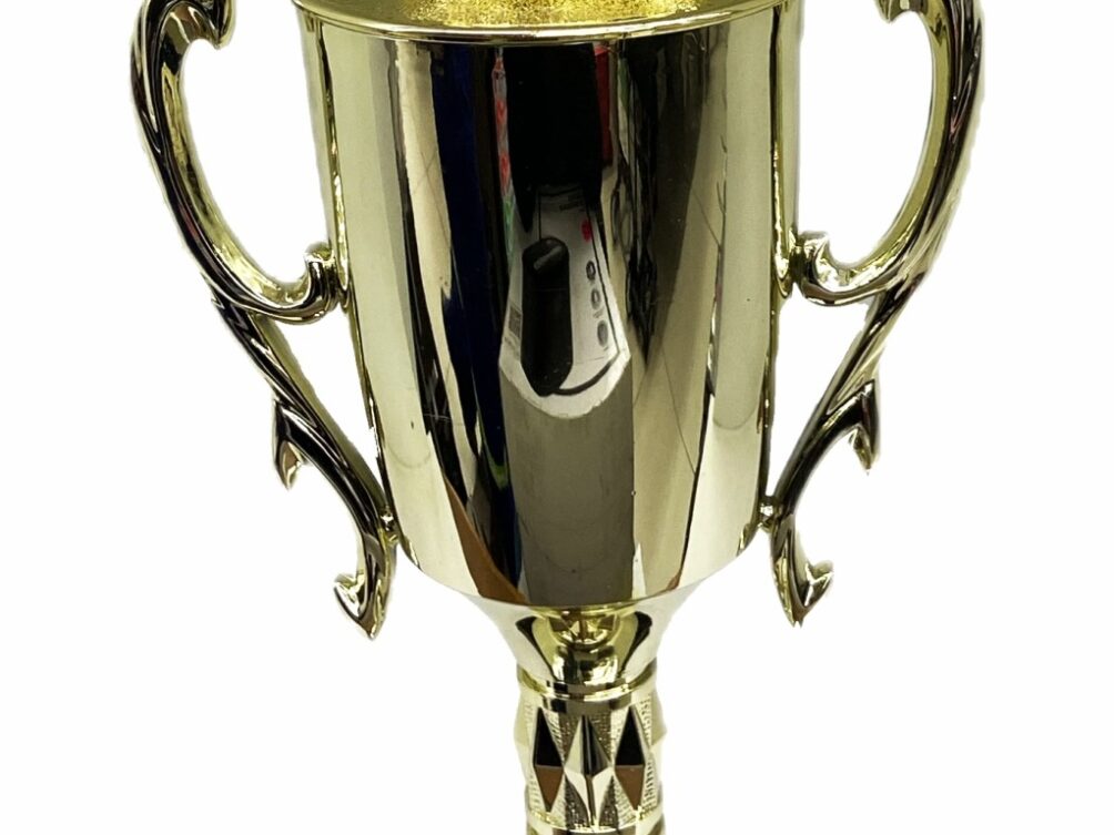Hereford Bull Trophy 315mm