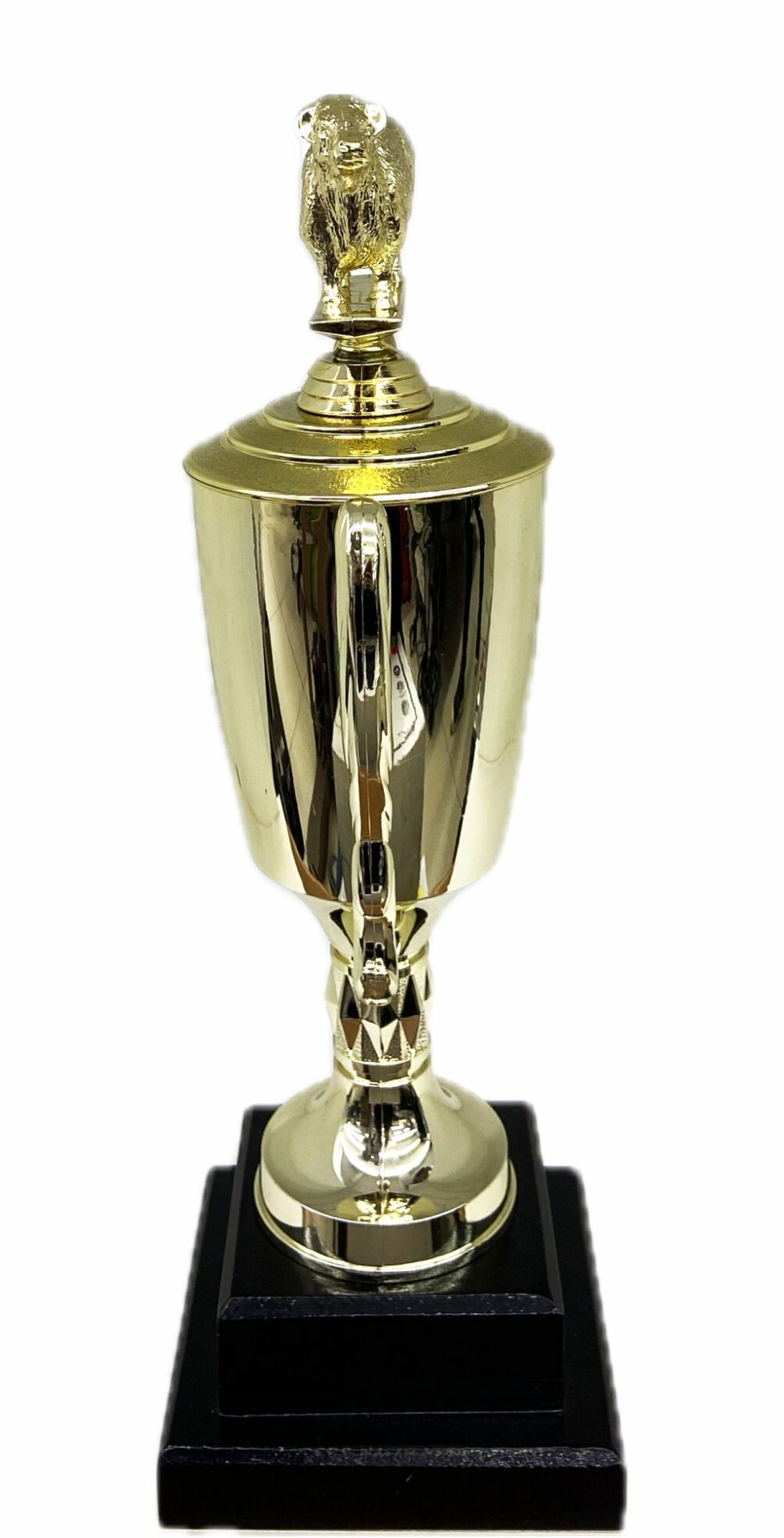 Hereford Bull Trophy 315mm