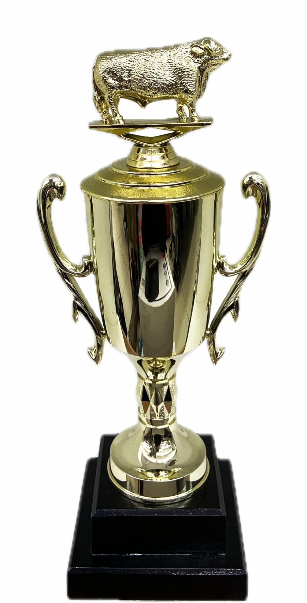 Hereford Bull Trophy 315mm