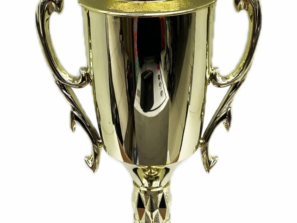 Hereford Bull Trophy 315mm