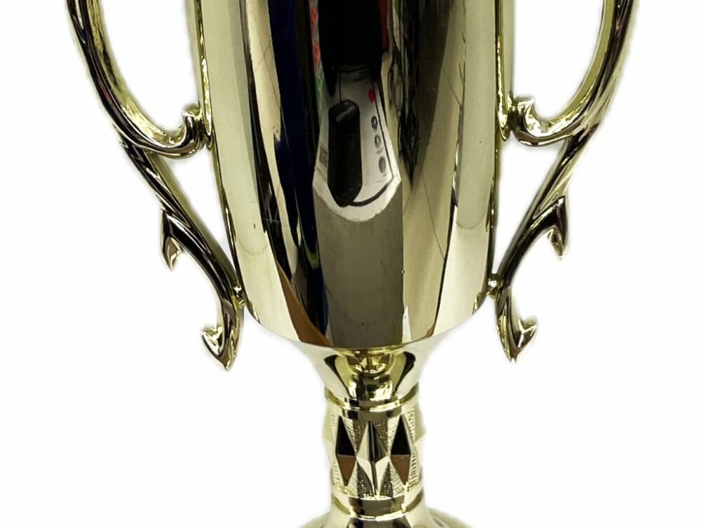 Hereford Bull Trophy 355mm