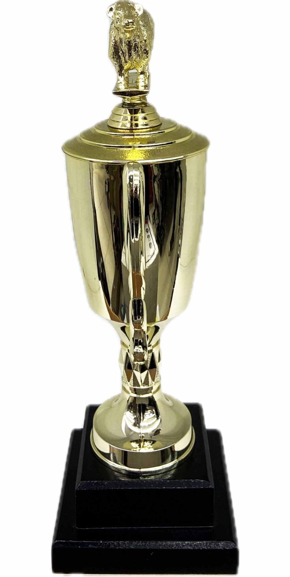 Hereford Bull Trophy 355mm