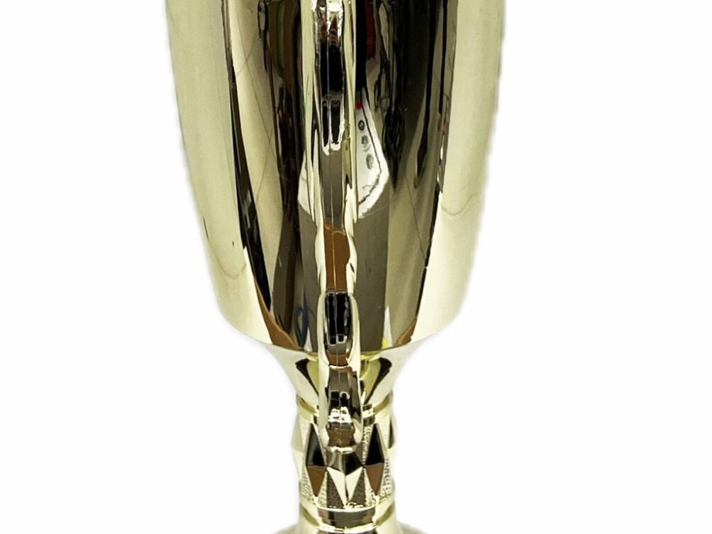 Hereford Bull Trophy 355mm