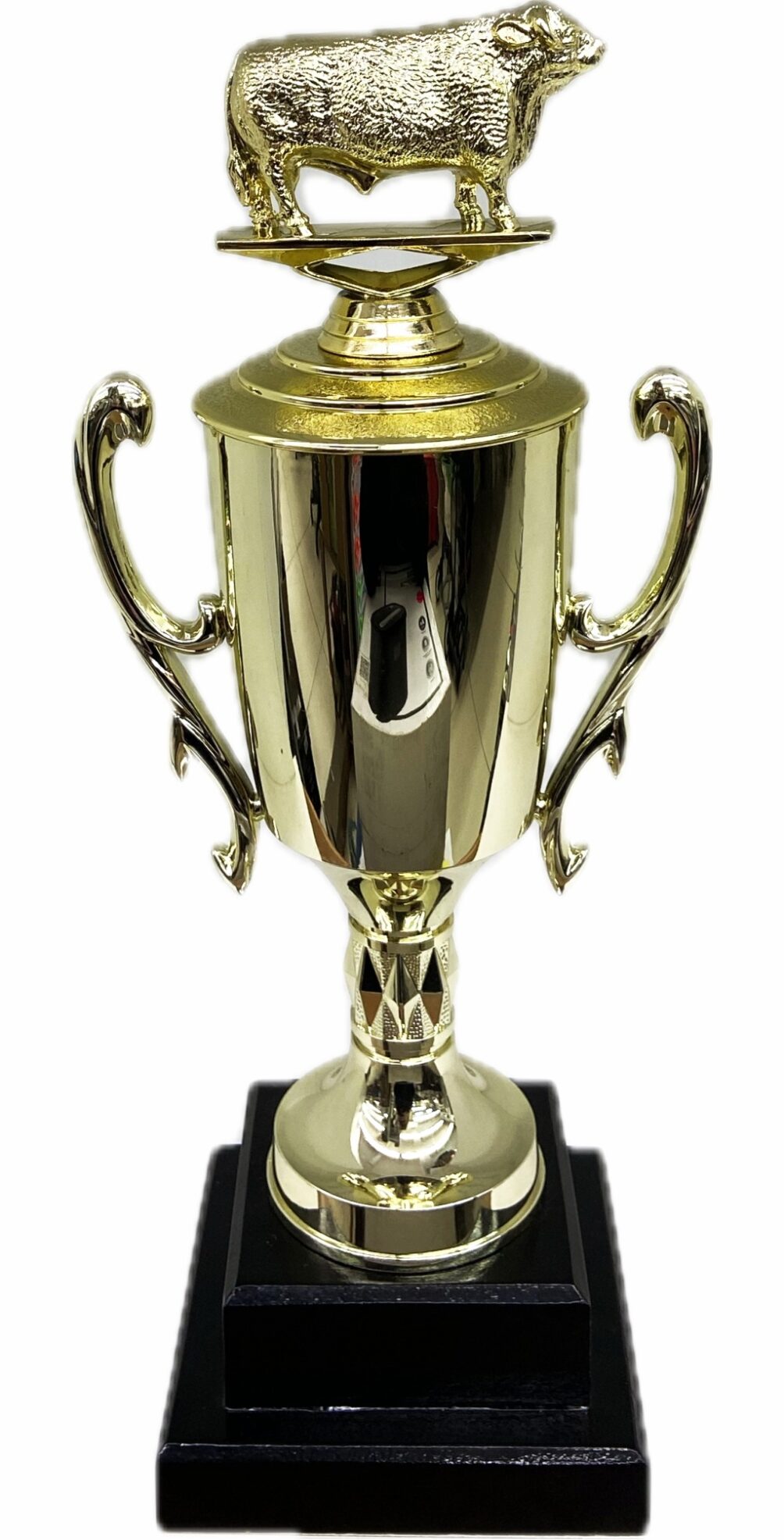 Hereford Bull Trophy 355mm