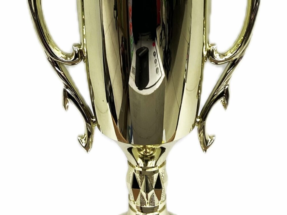 Hereford Bull Trophy 355mm