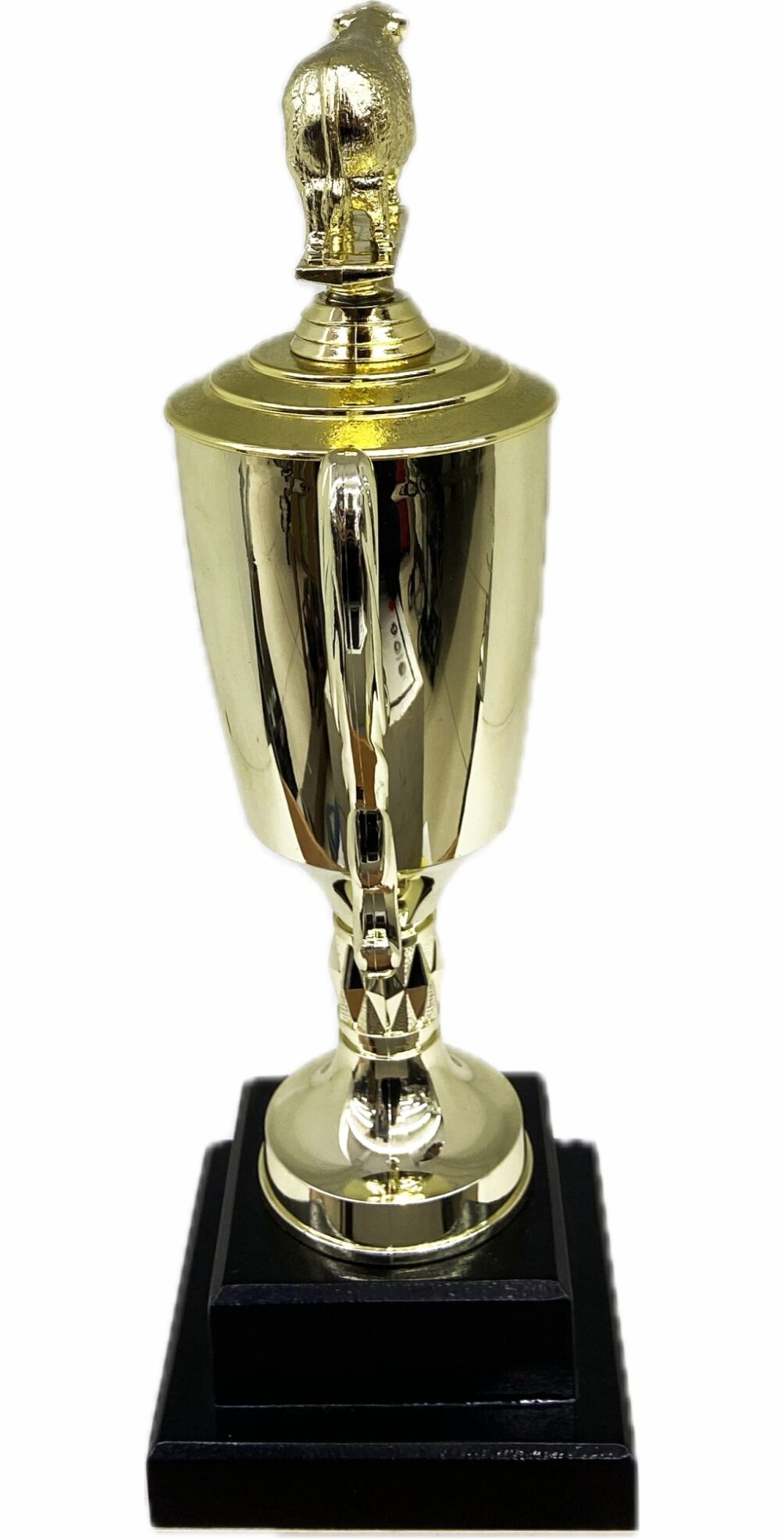 Hereford Bull Trophy 355mm