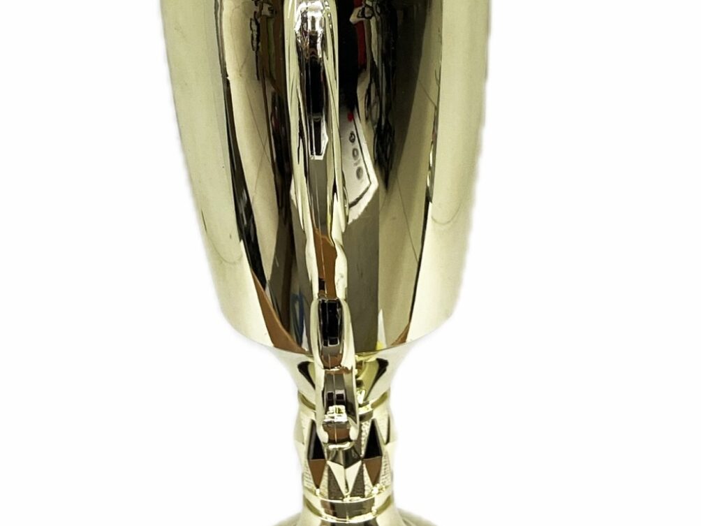 Hereford Bull Trophy 355mm
