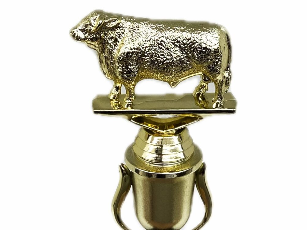 Hereford Bull Trophy 215mm