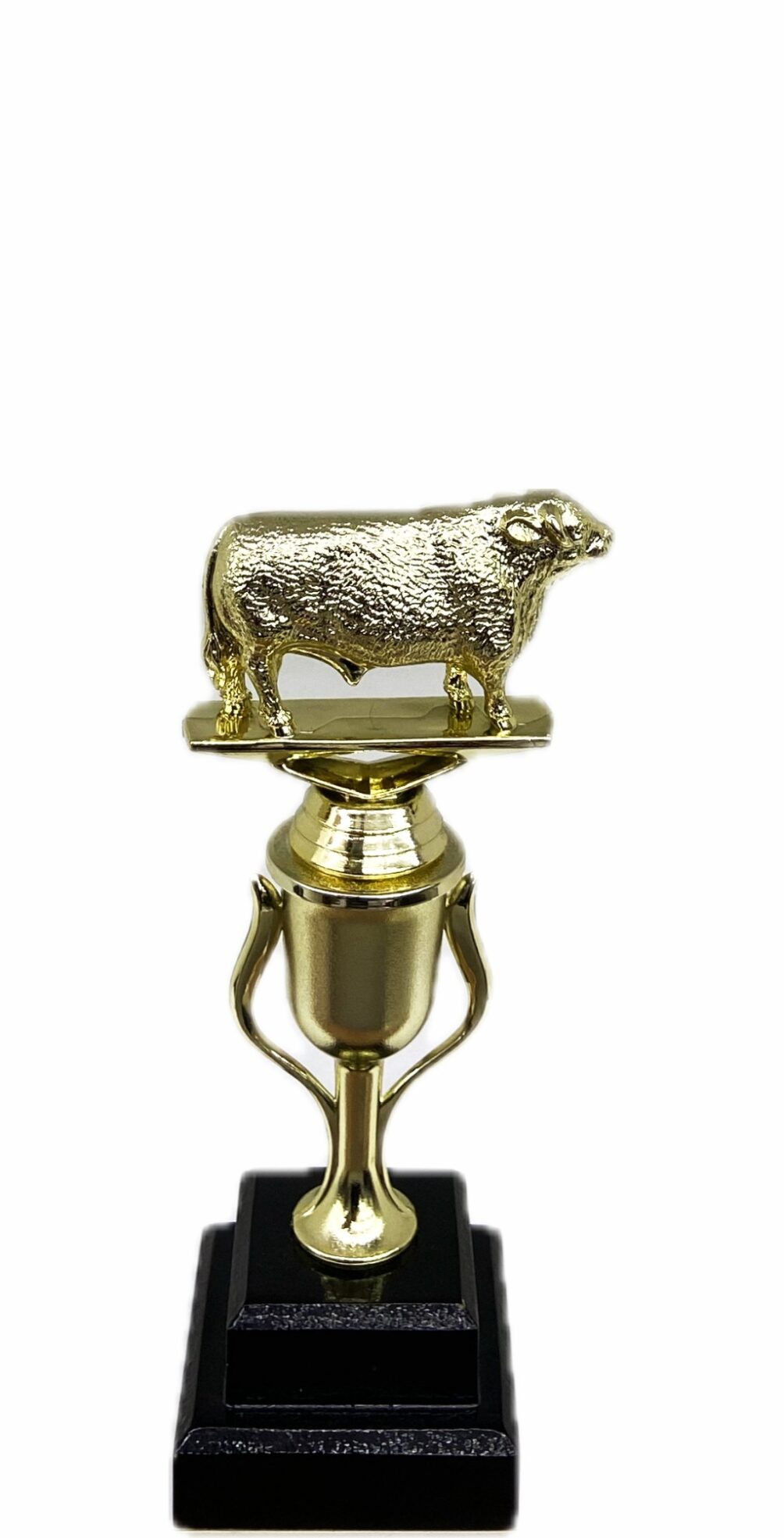 Hereford Bull Trophy 215mm