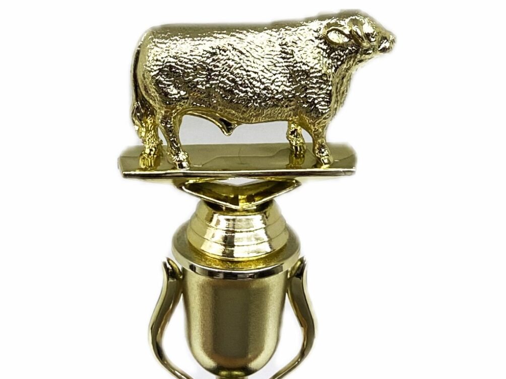 Hereford Bull Trophy 215mm