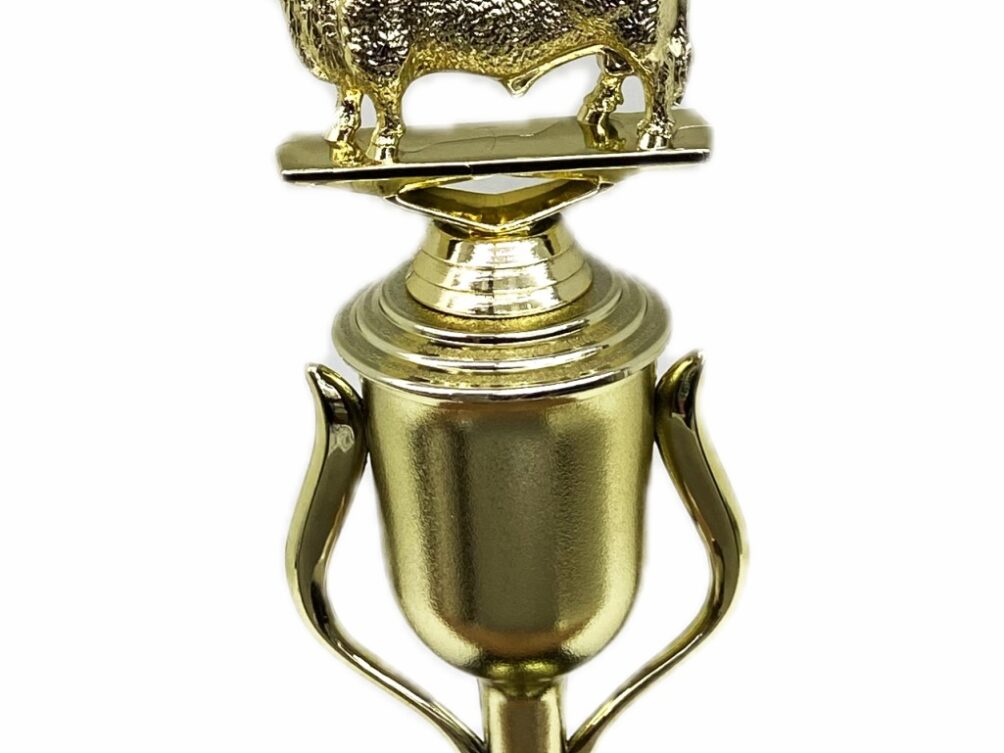 Hereford Bull Trophy 240mm
