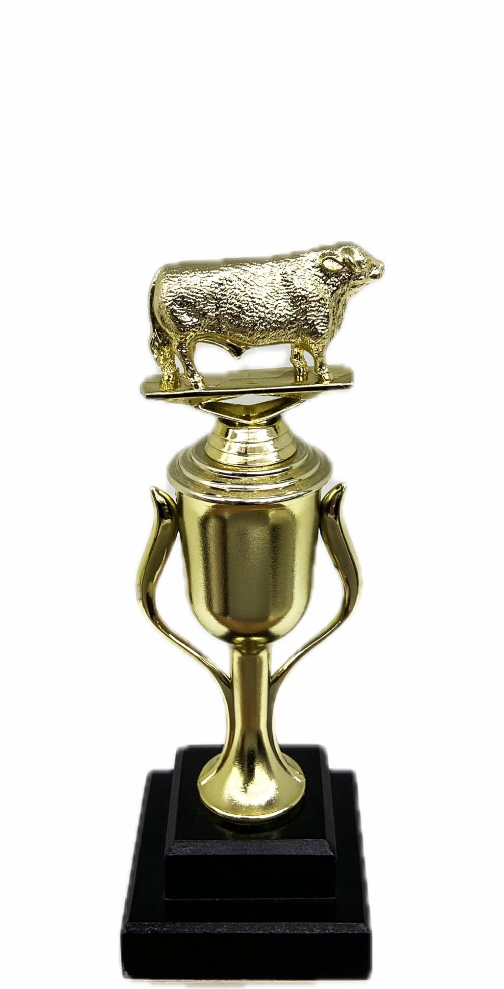 Hereford Bull Trophy 240mm