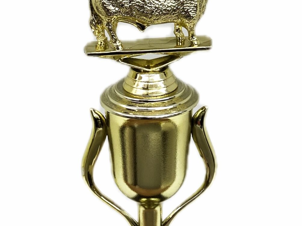 Hereford Bull Trophy 240mm
