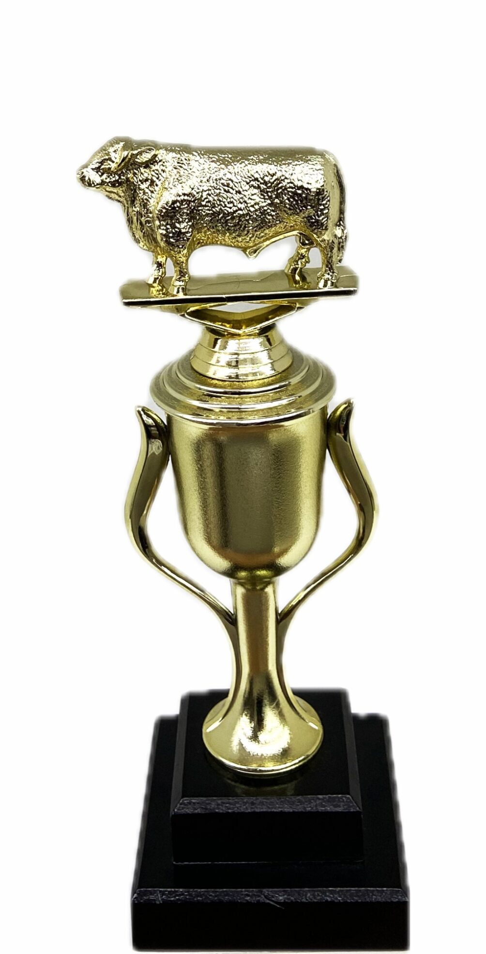 Hereford Bull Trophy 275mm