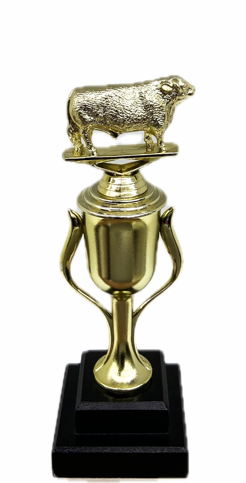 Hereford Bull Trophy 275mm