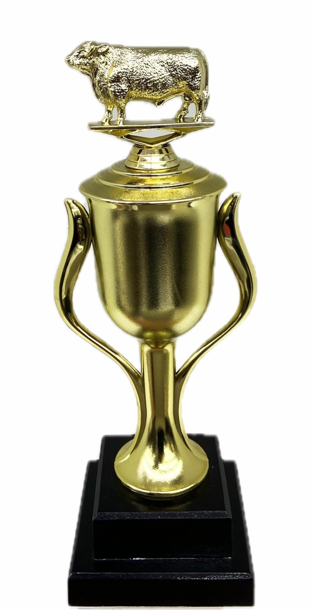 Hereford Bull Trophy 315mm