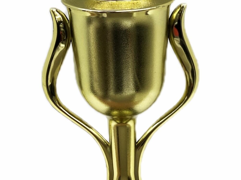 Hereford Bull Trophy 315mm