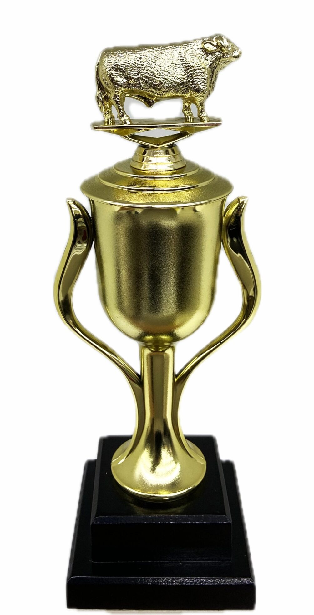 Hereford Bull Trophy 315mm