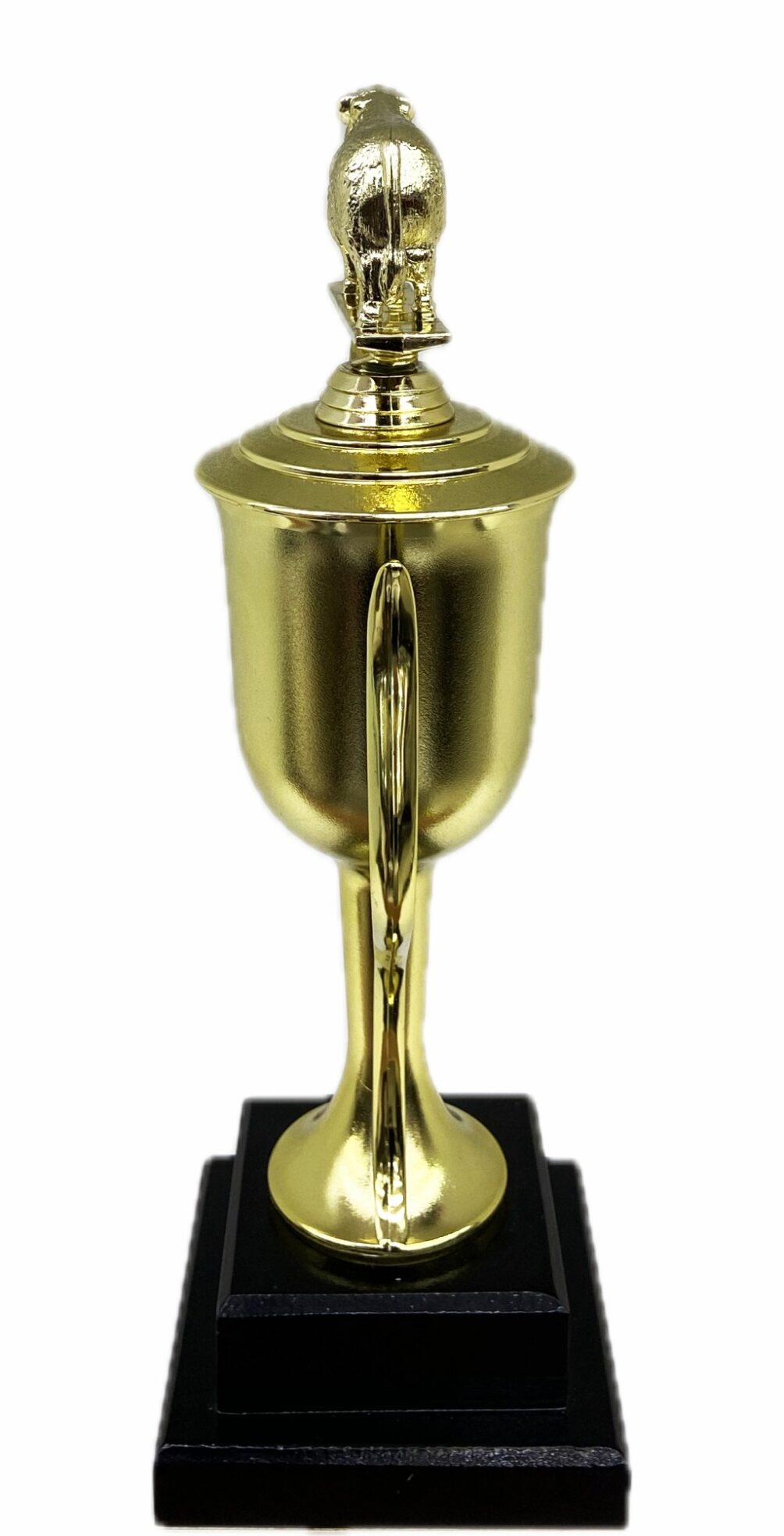 Hereford Bull Trophy 315mm