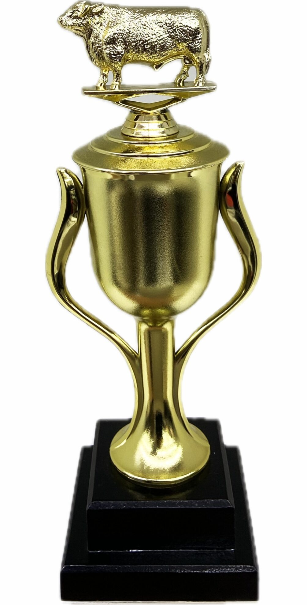 Hereford Bull Trophy 355mm