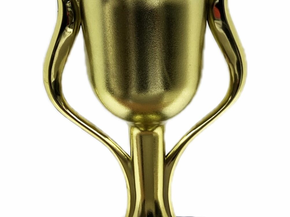 Hereford Bull Trophy 355mm