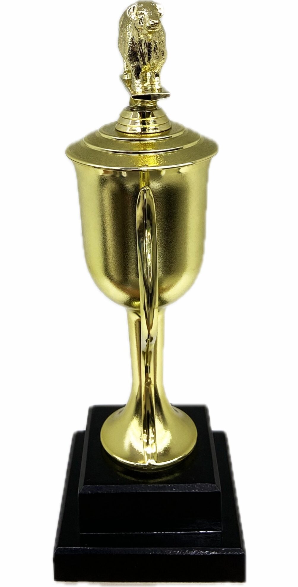 Hereford Bull Trophy 355mm