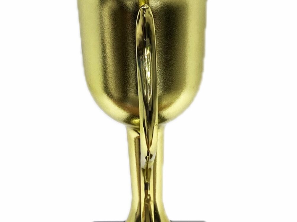 Hereford Bull Trophy 355mm