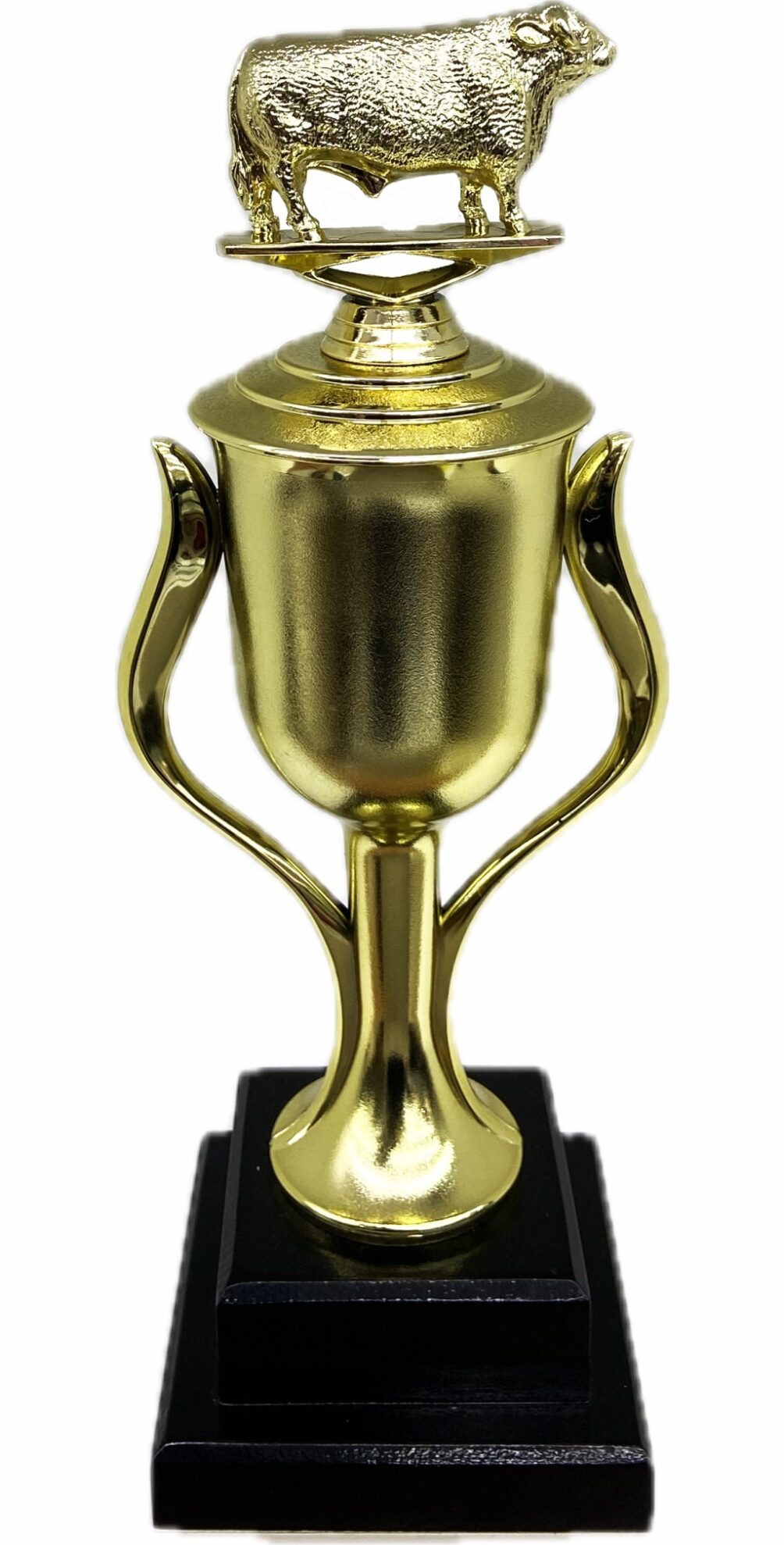 Hereford Bull Trophy 355mm