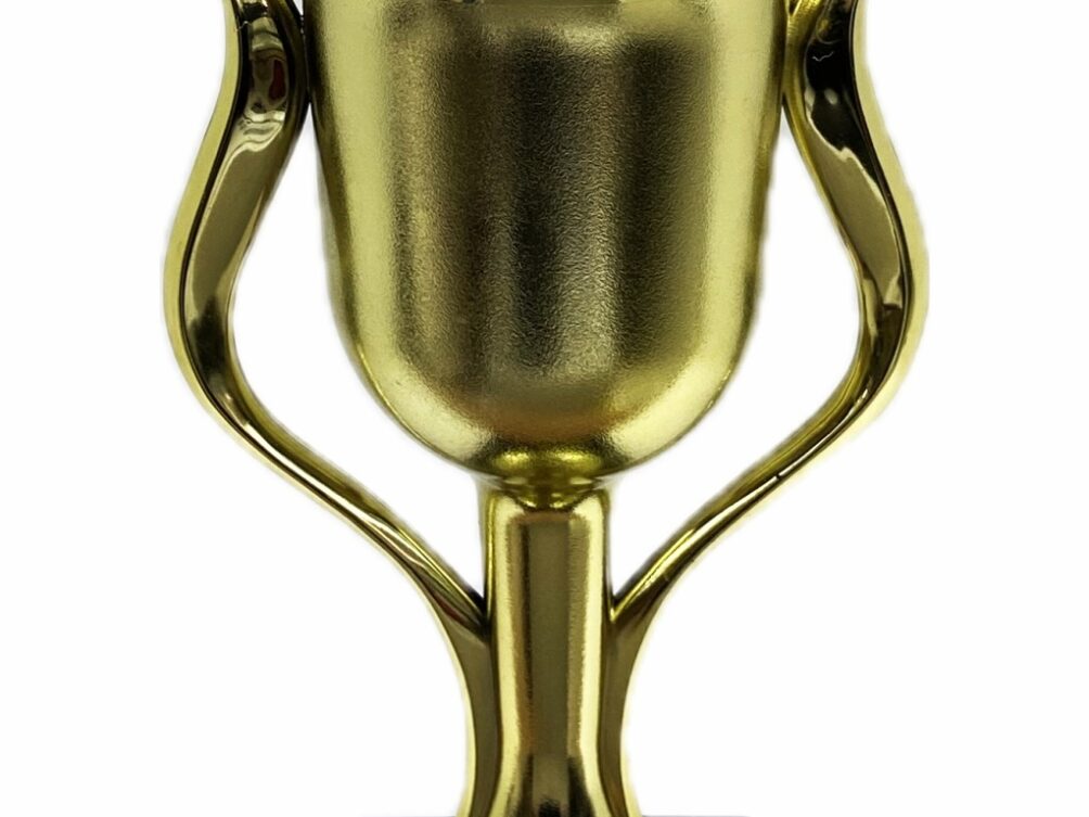 Hereford Bull Trophy 355mm