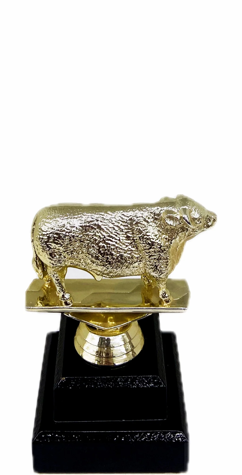 Hereford Bull Trophy 125mm