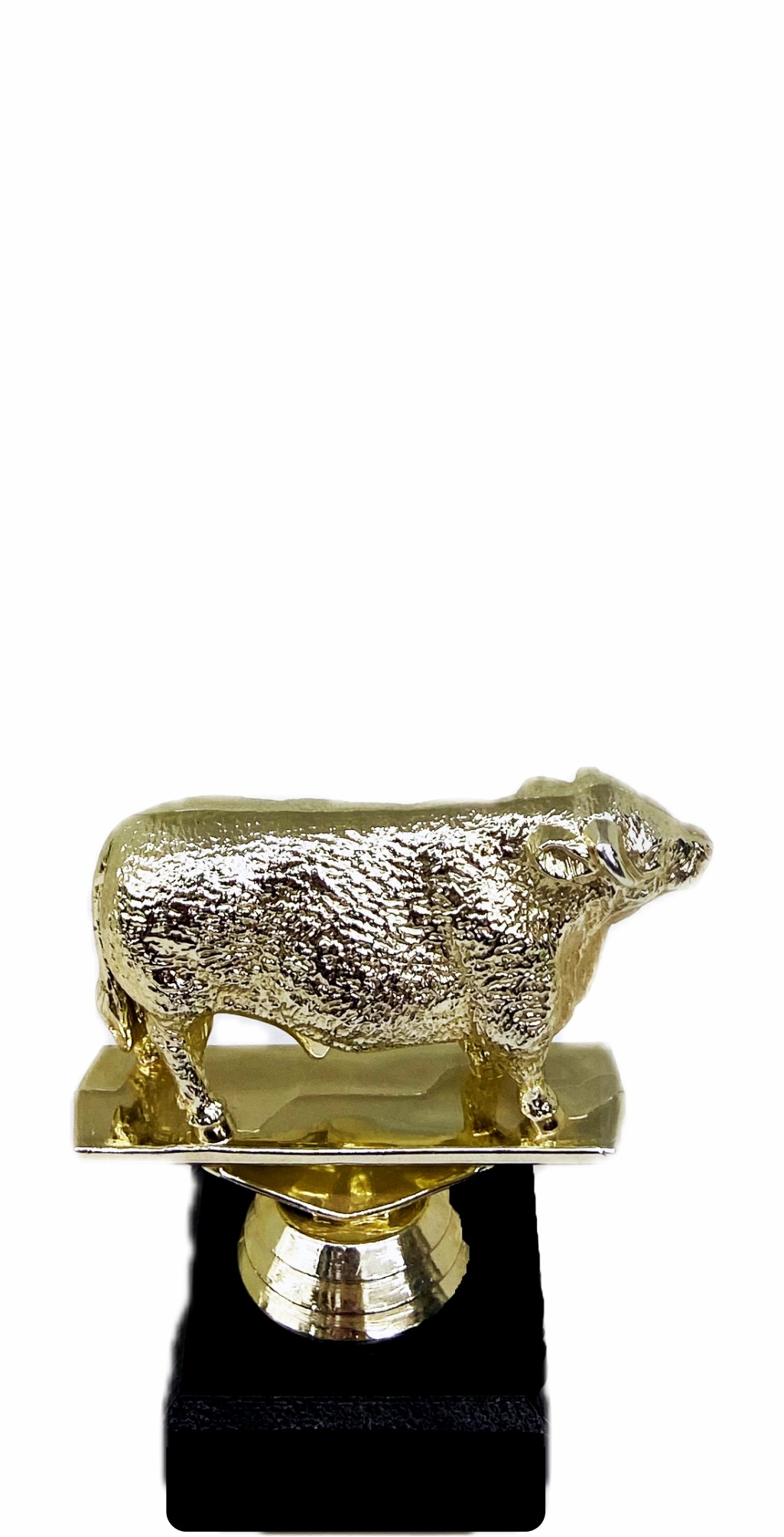 Hereford Bull Trophy 100mm