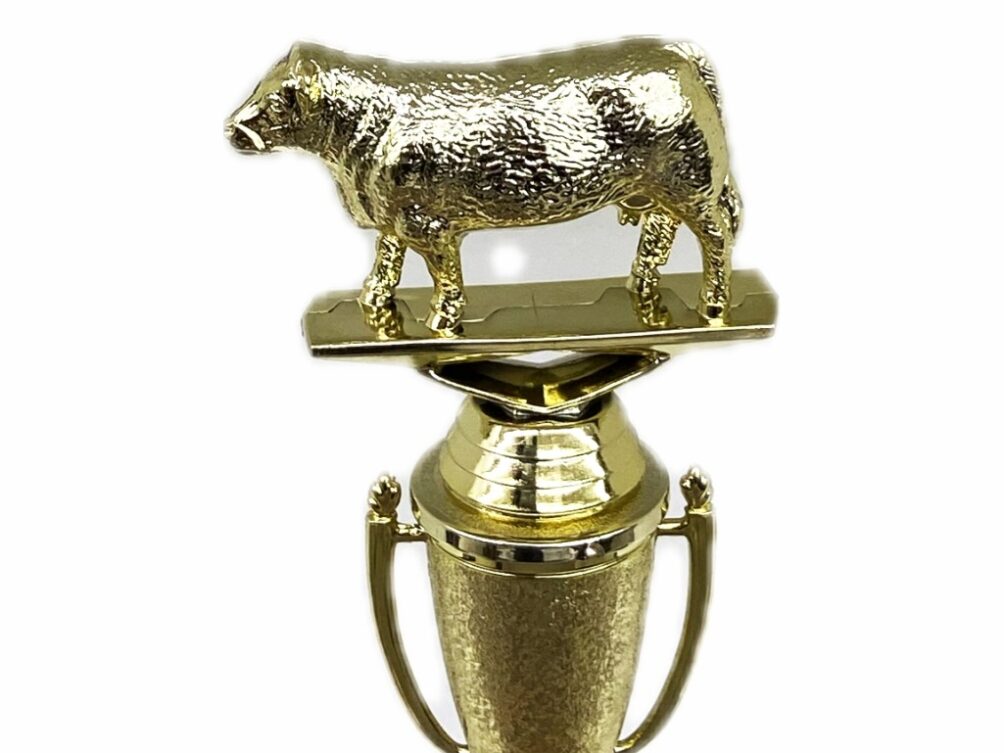 Hereford Cow Trophy 215mm