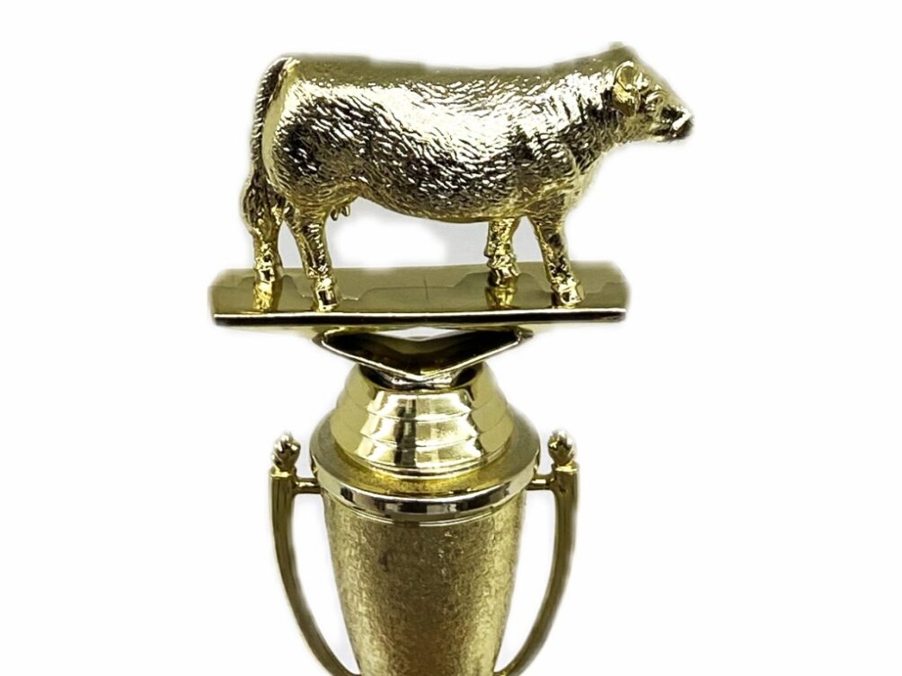 Hereford Cow Trophy 215mm