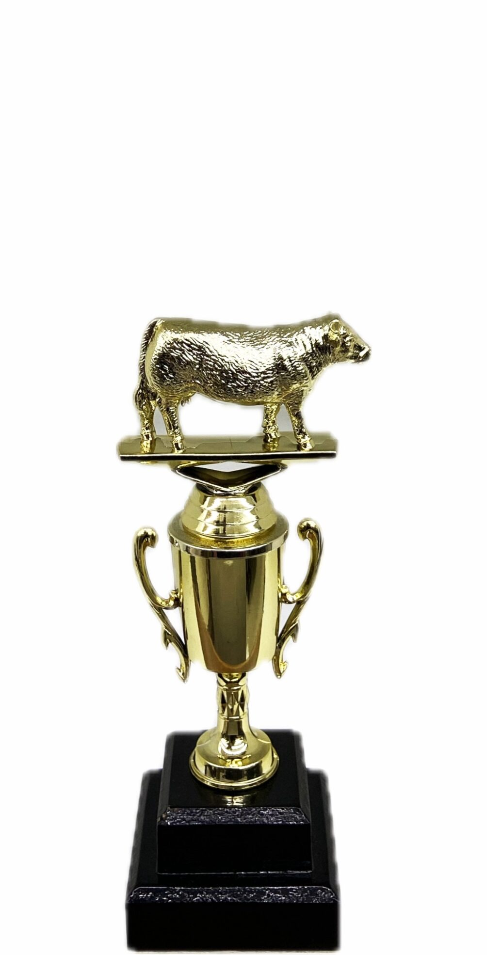 Hereford Cow Trophy 215mm