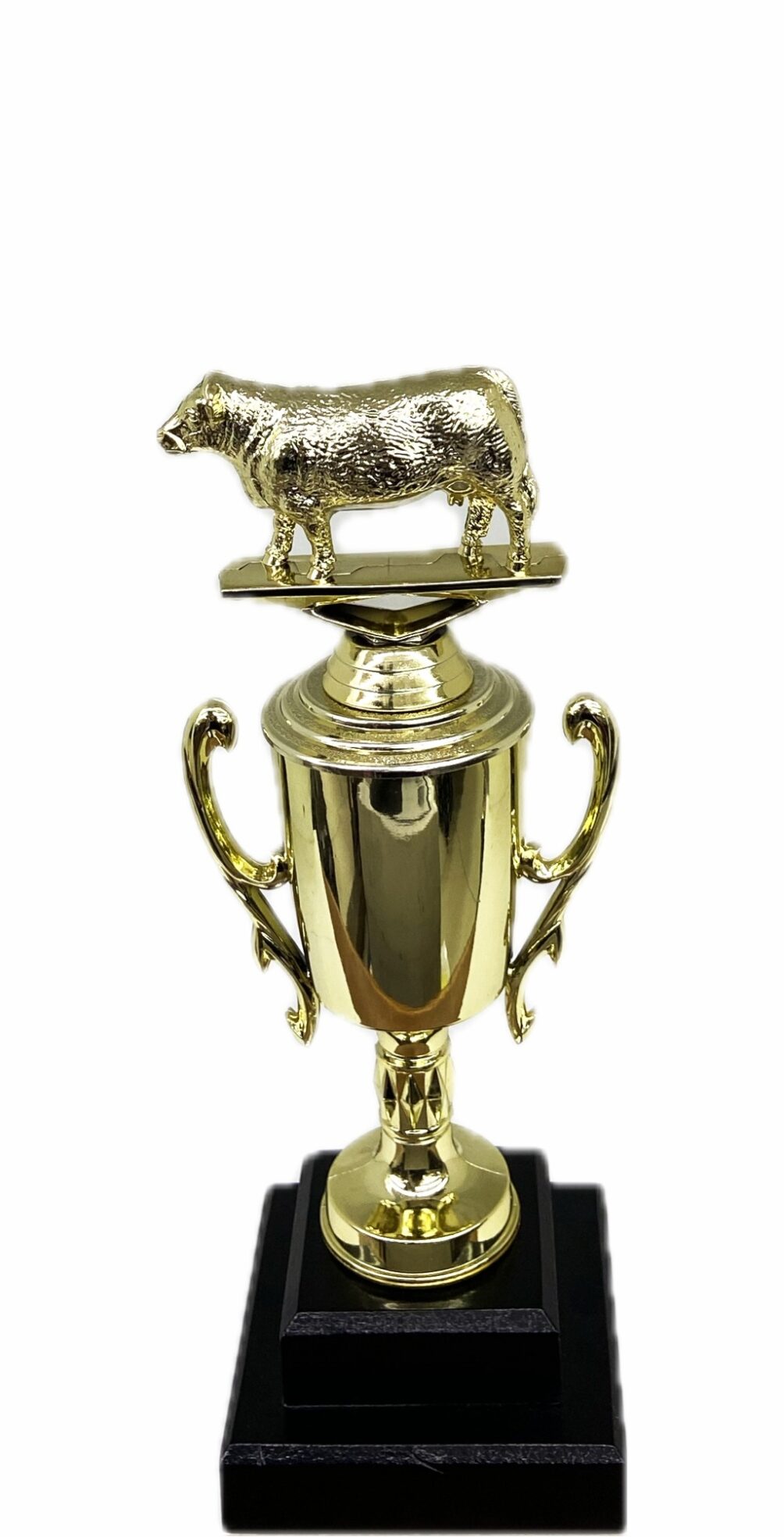 Hereford Cow Trophy 240mm