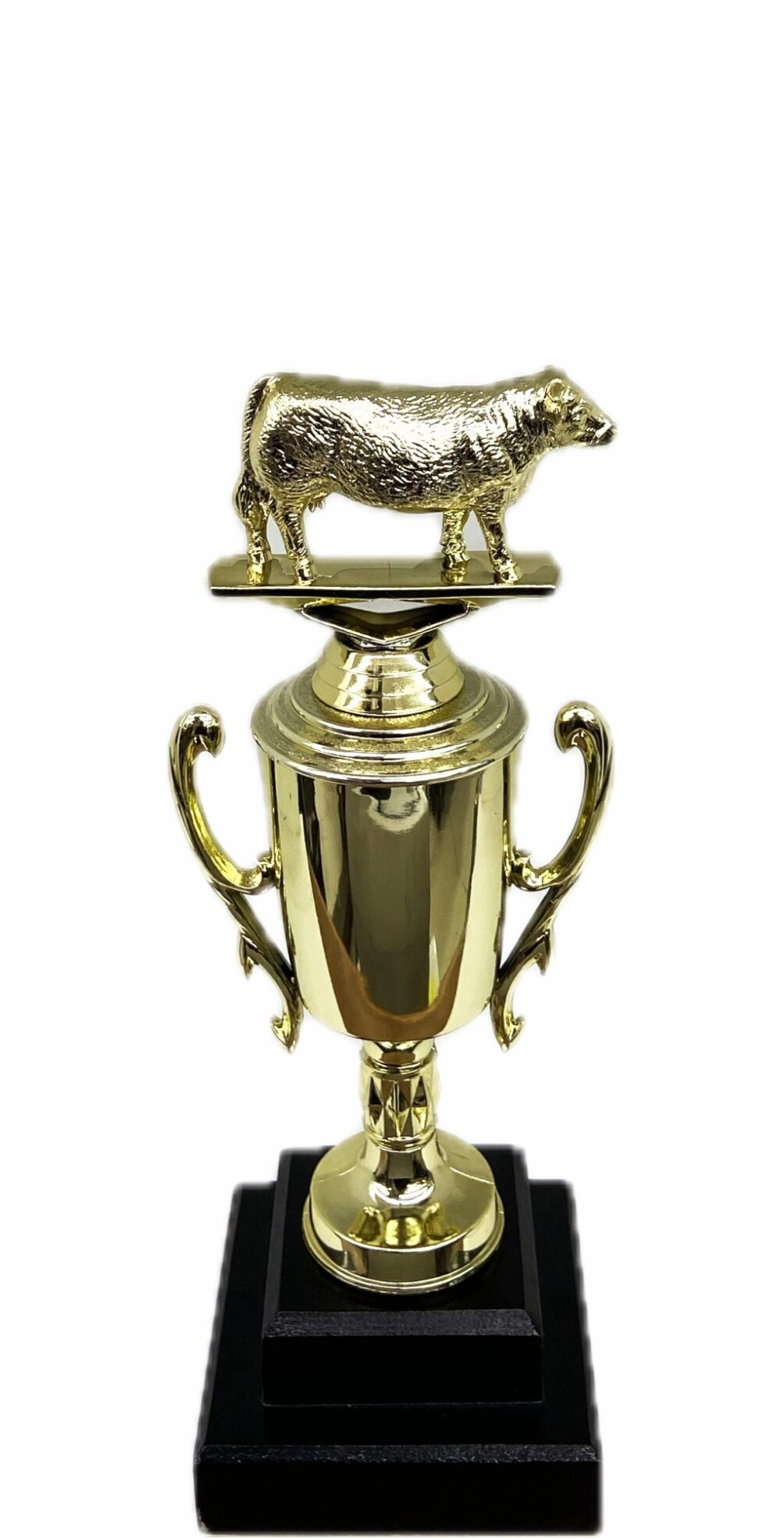 Hereford Cow Trophy 240mm