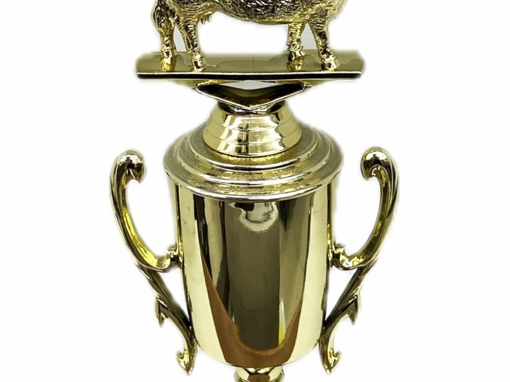 Hereford Cow Trophy 240mm
