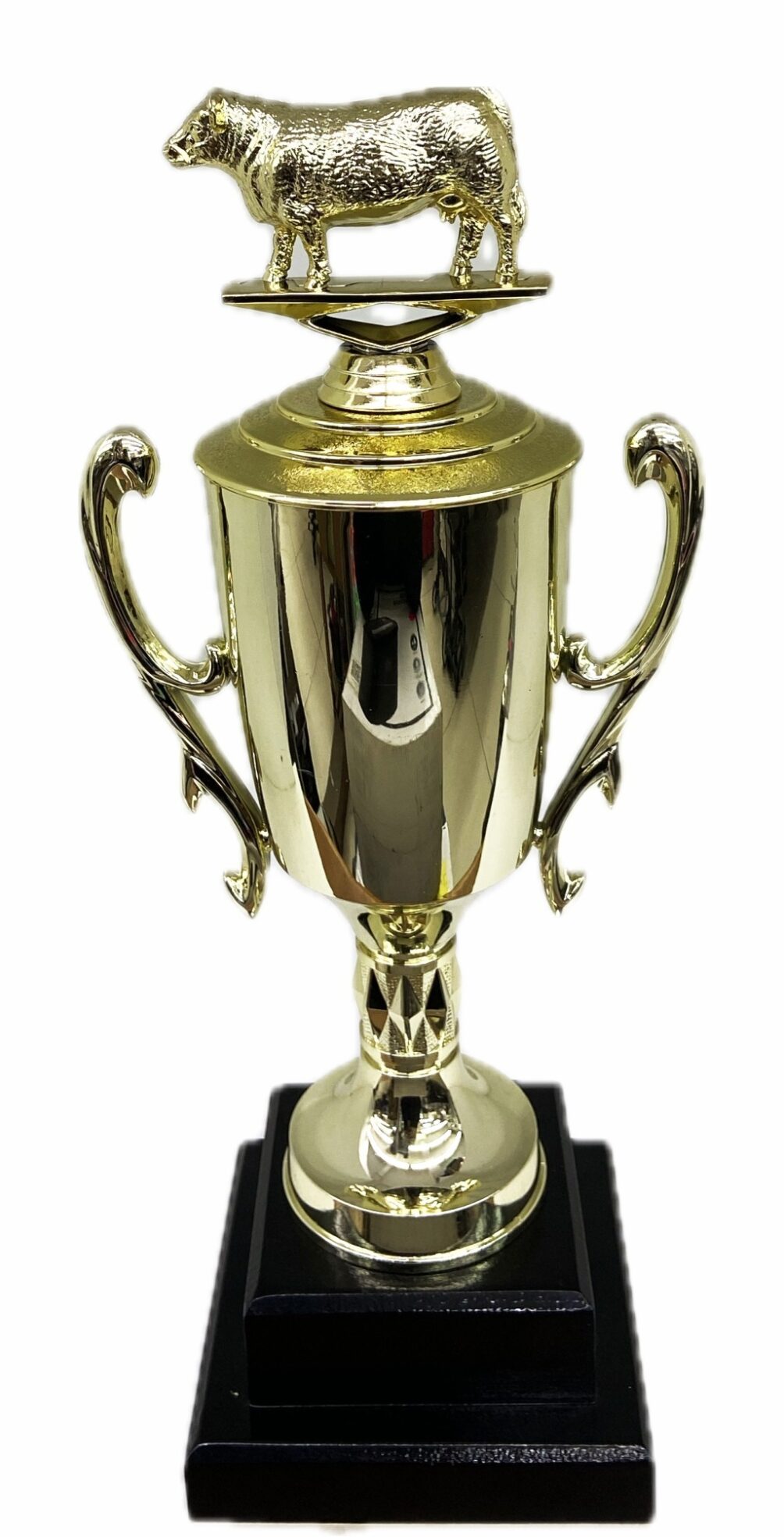 Hereford Cow Trophy 315mm