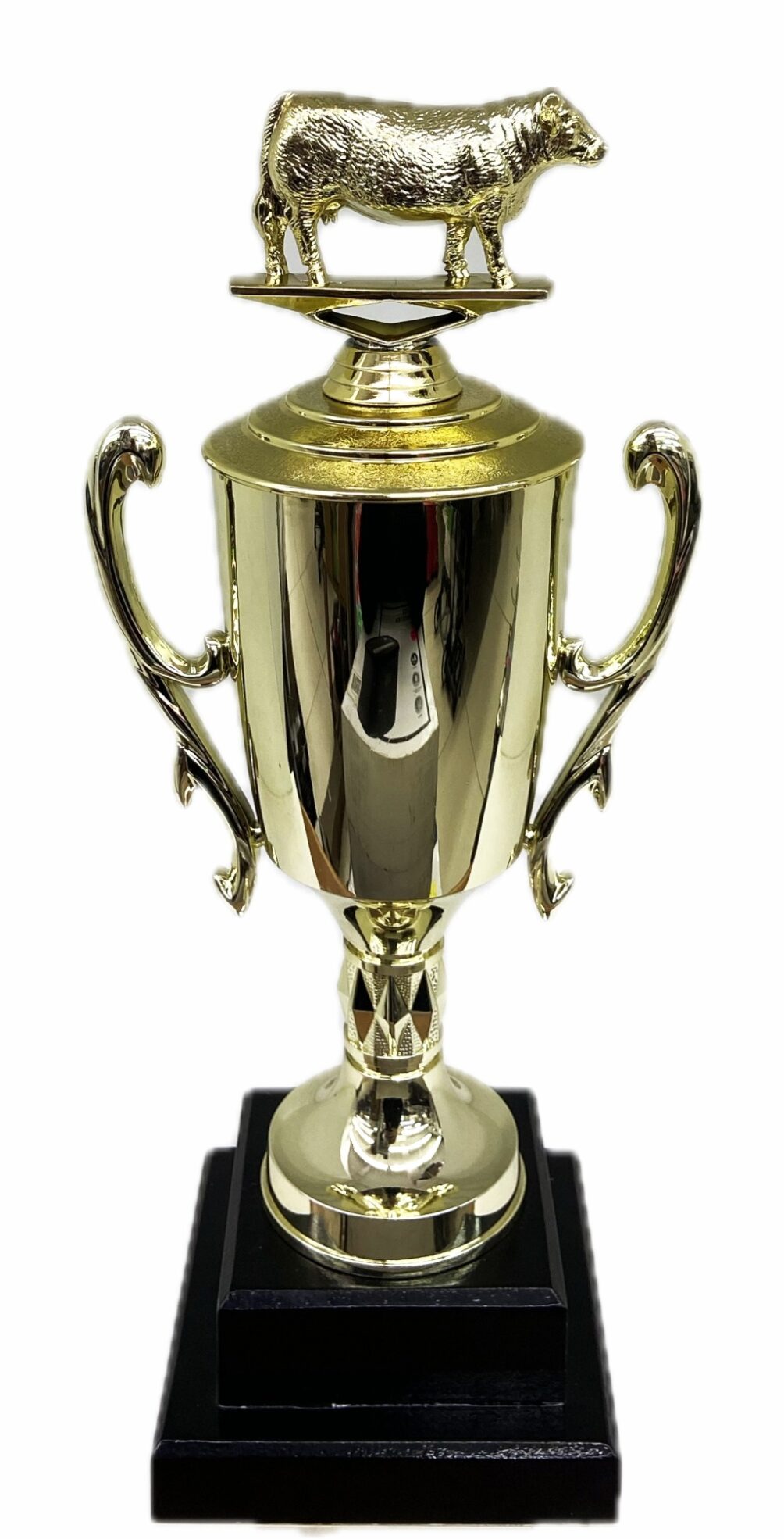 Hereford Cow Trophy 315mm