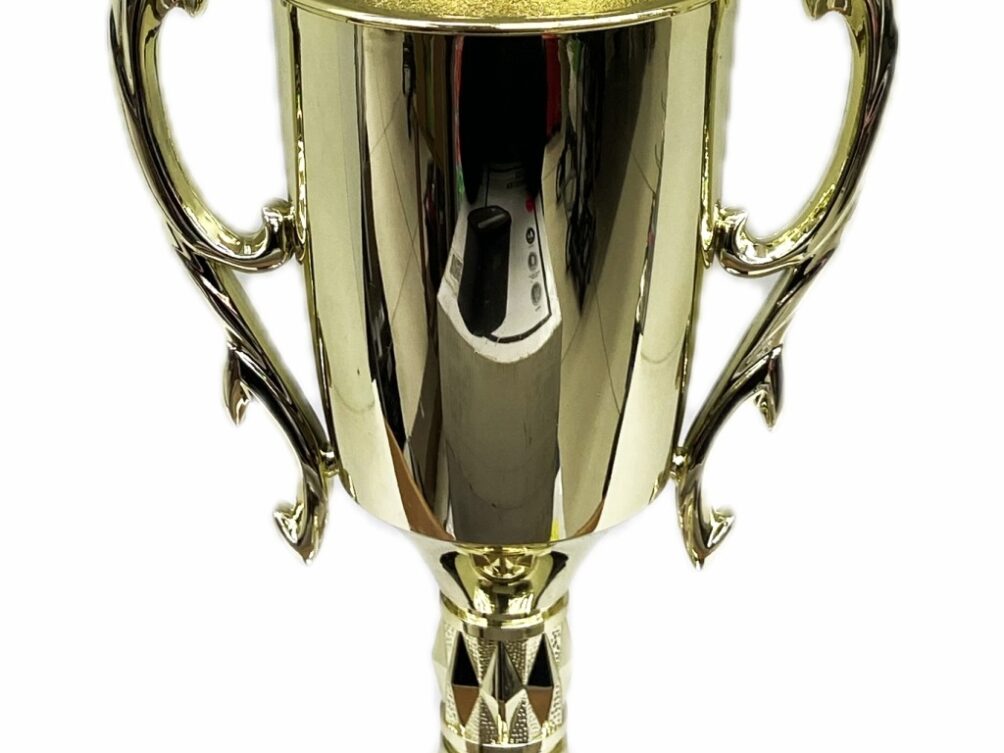Hereford Cow Trophy 315mm